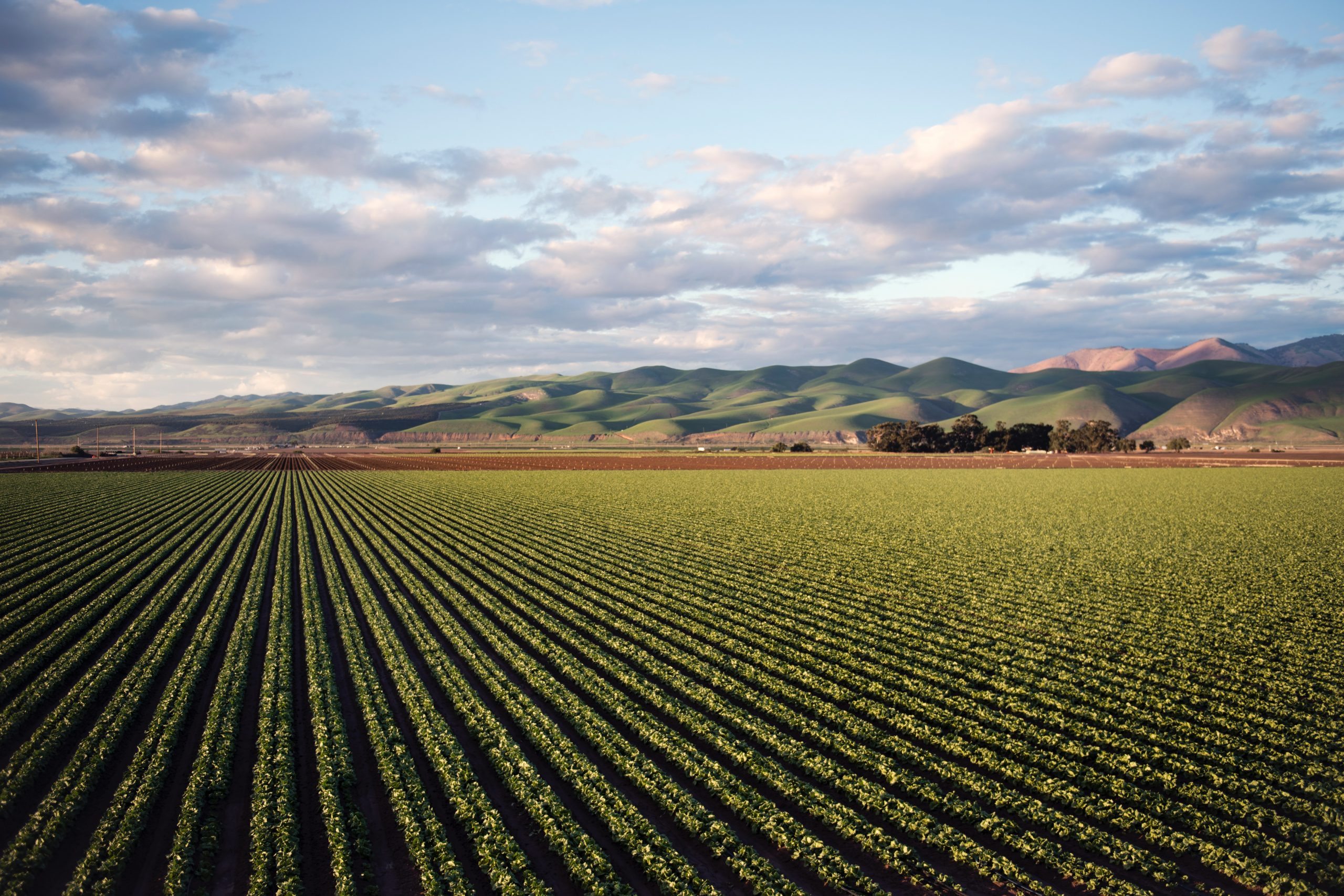  Farm product prices, redistribution, and the early Great Depression in the US