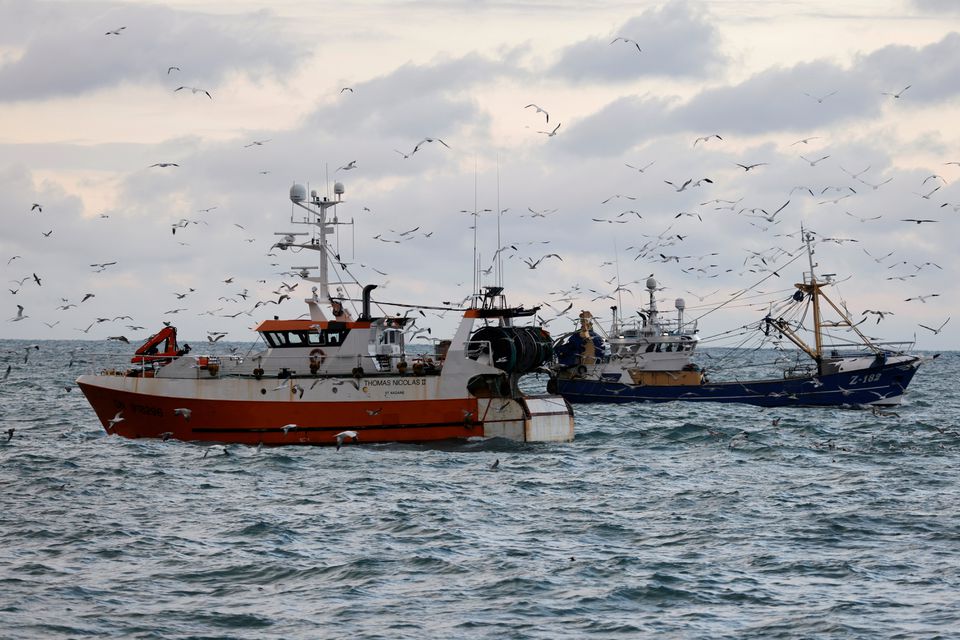  WTO seeks to land big prize after 20 years of fish talks