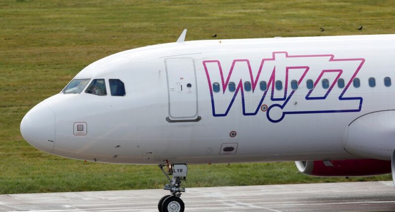 wizz air liquid policy