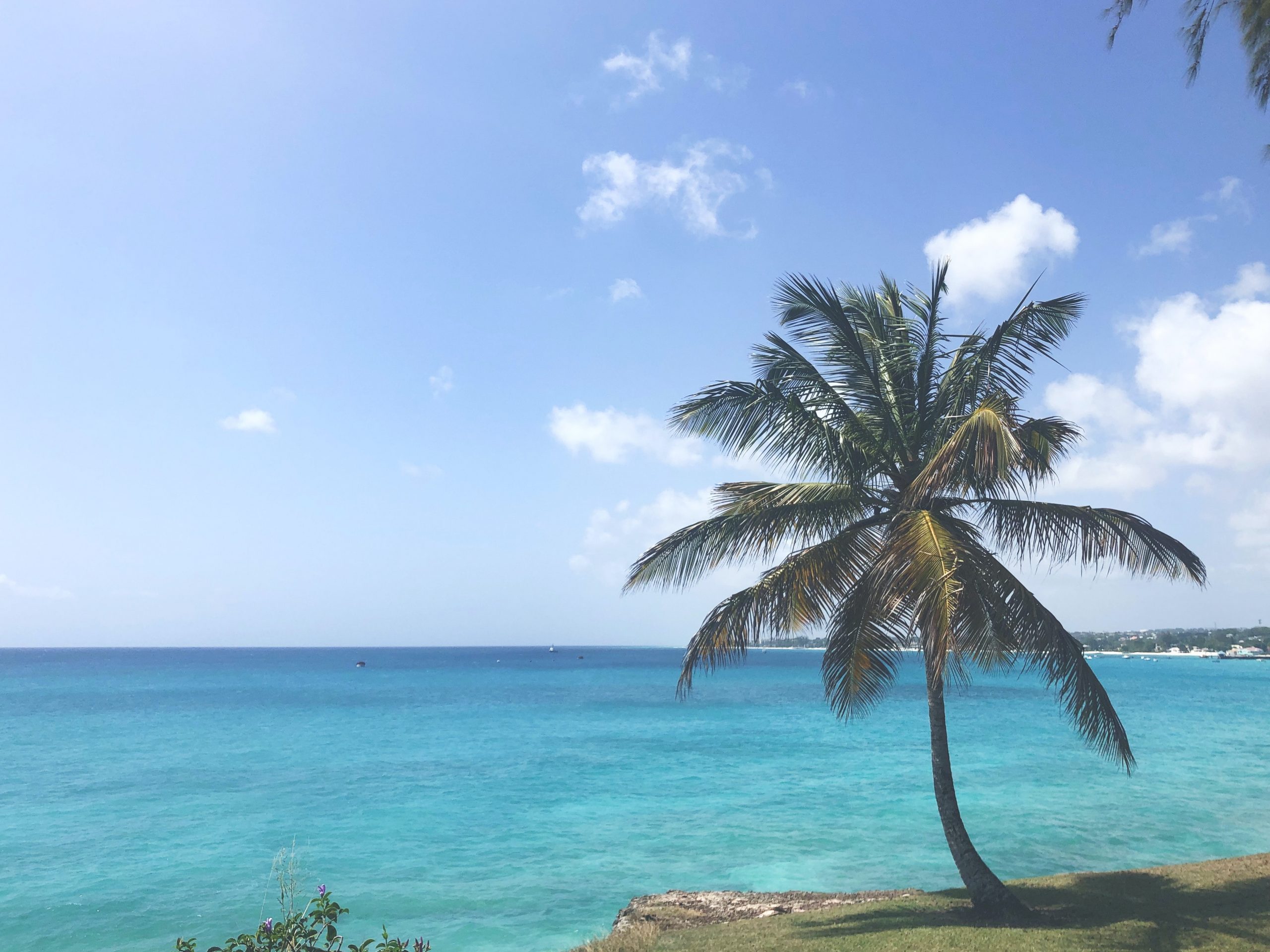  Barbados elects its first president, and the British Queen renounces her position as head of state