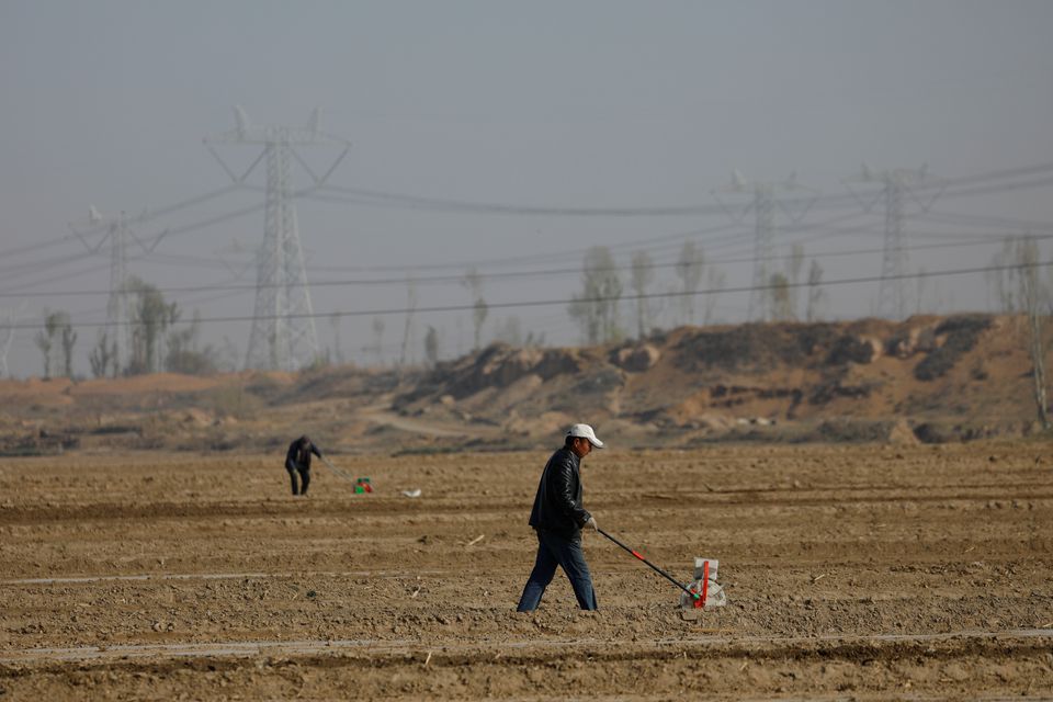  Beijing biotech firm banks on GM corn in race to be China’s Monsanto