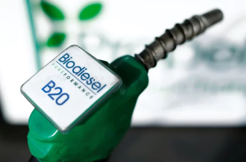  Less than half of projected U.S. renewable diesel output likely by 2025- study