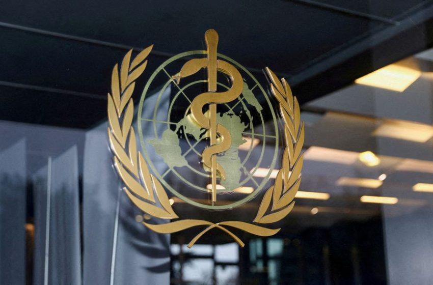  Explainer: How the World Health Organization might face future pandemics