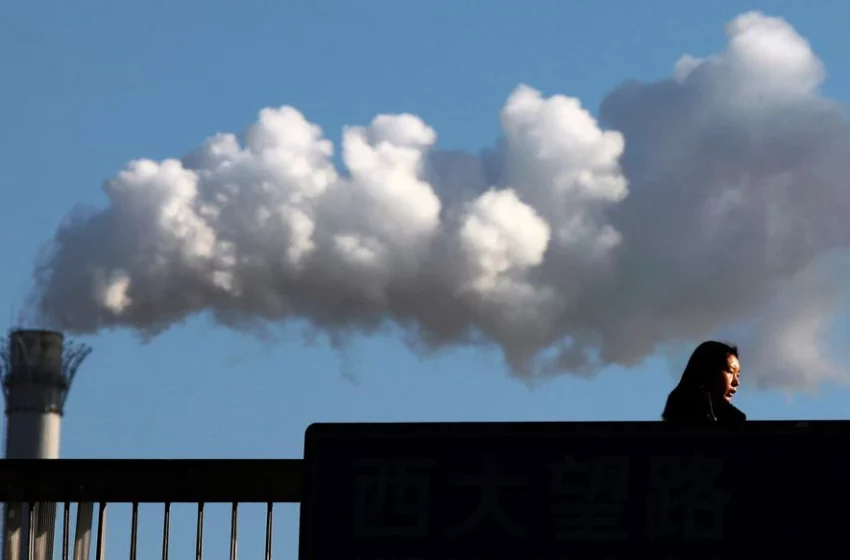 EXCLUSIVE Investors warn European companies over climate accounting
