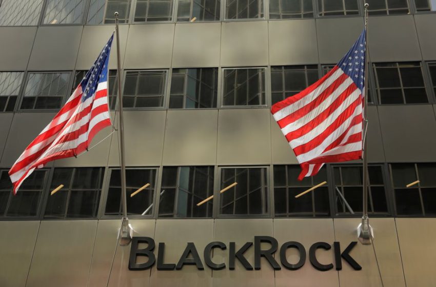  BlackRock misses profit estimates as market turbulence spooks investors