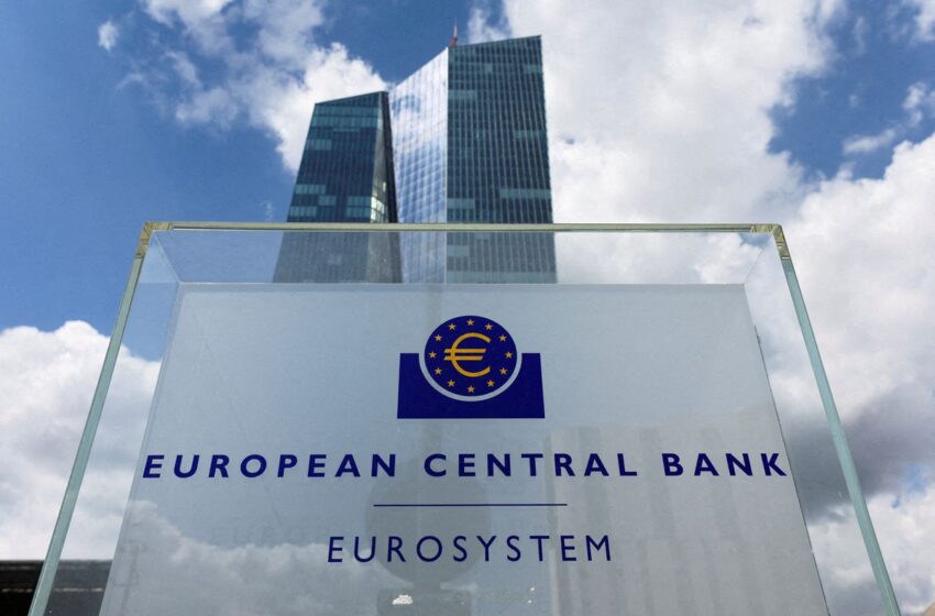  Euro zone banks not facing up to reality of downturn, ECB says