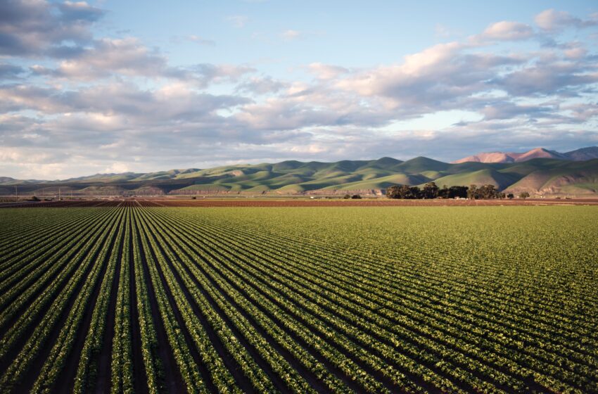  Boosting Agricultural Development, Philippines Secures $600-Million World Bank Loan