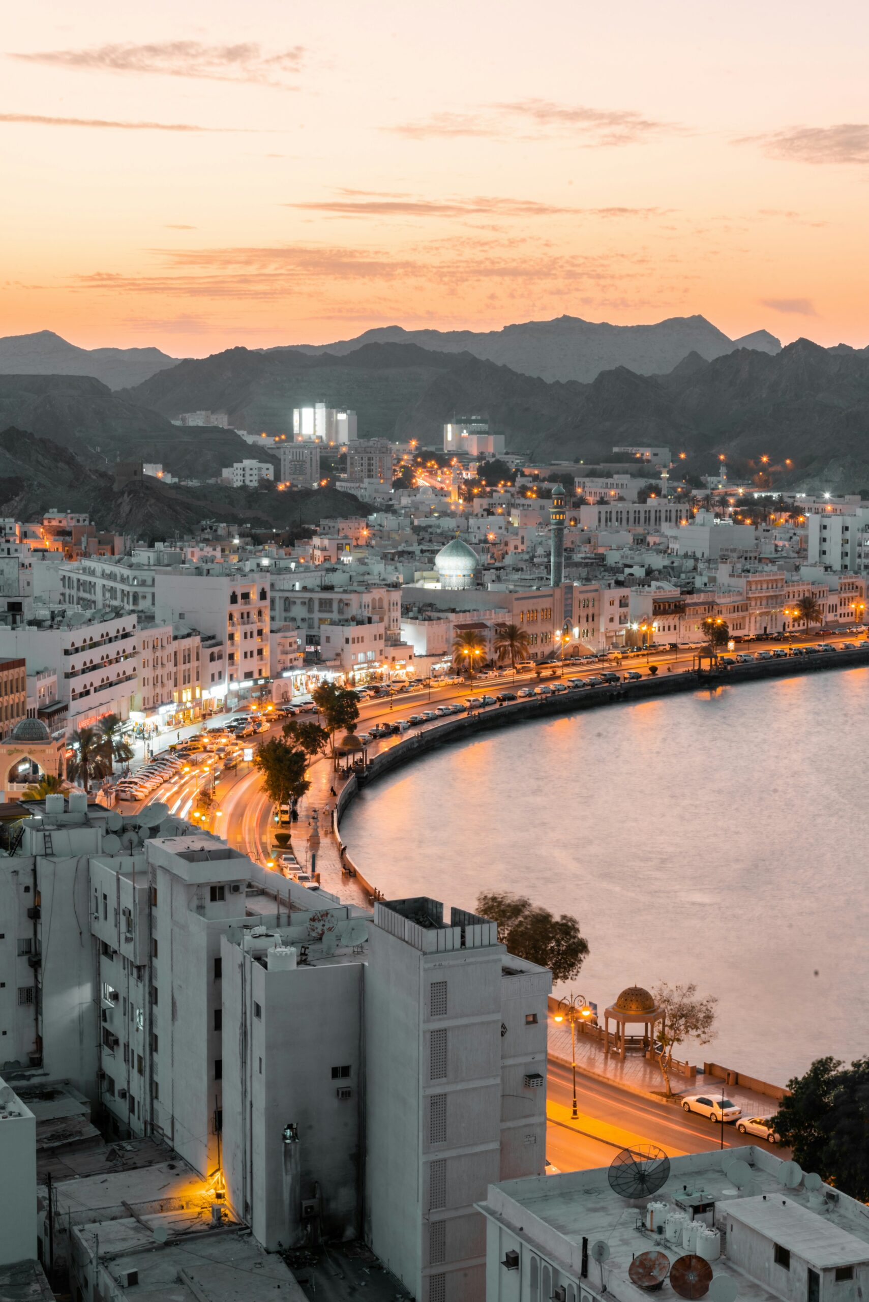 Salalah Free Zone, a key player in Oman's economic landscape