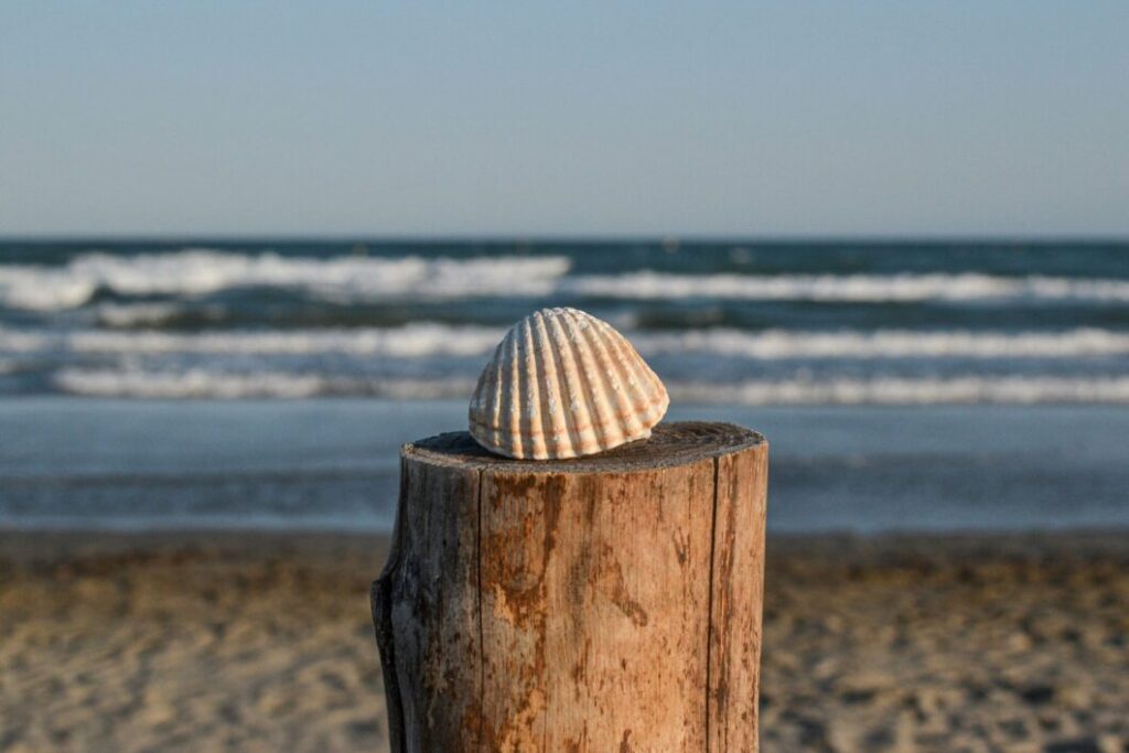 United States Heat wave