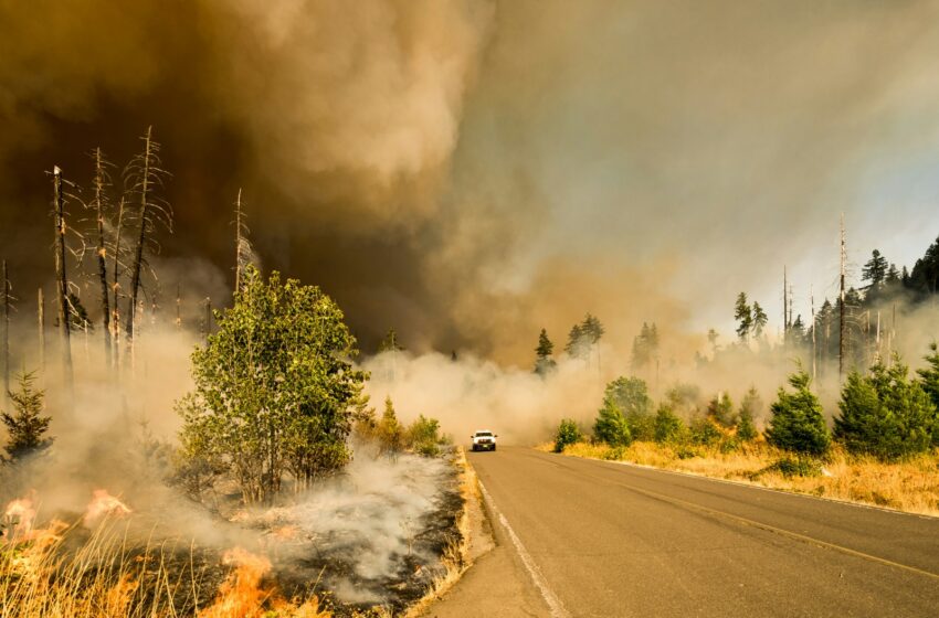 Southern California Wildfires Intensify Amid Strong Winds