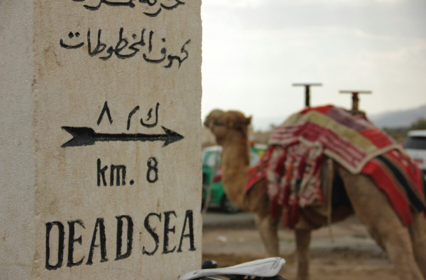 Desert Gold: Inside the Real Estate Boom Shaping the New Middle East