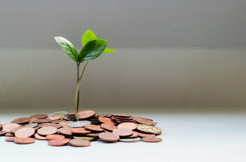 Sustainable Investing: Aligning Portfolios with Ethical Values