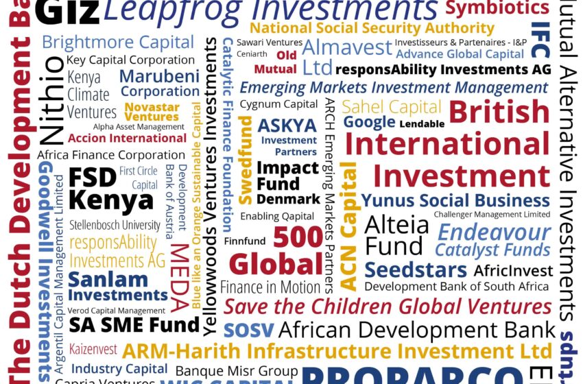Verdant Capital establishes connections with microfinance leads on the African Investments Dashboard