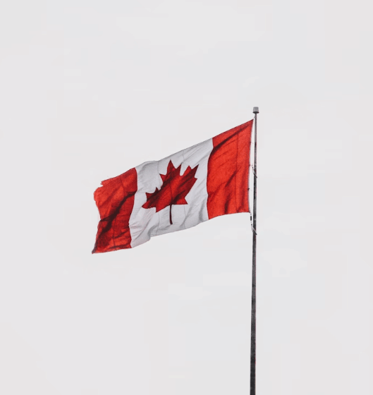  Global tech talent may soon call Canada home as U.S. visa costs soar