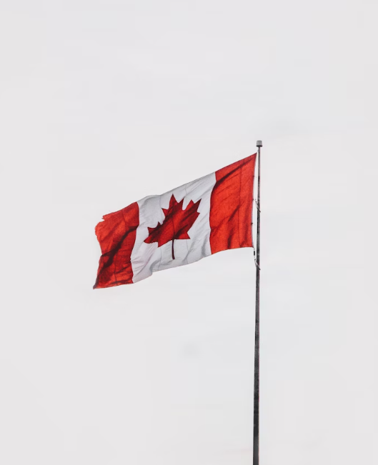 H-1B visa fees may push global tech talent to Canada