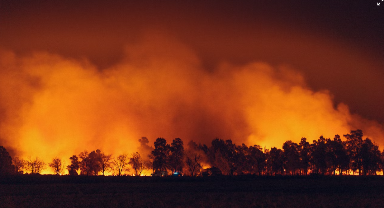 Solve Industrial Motion Group