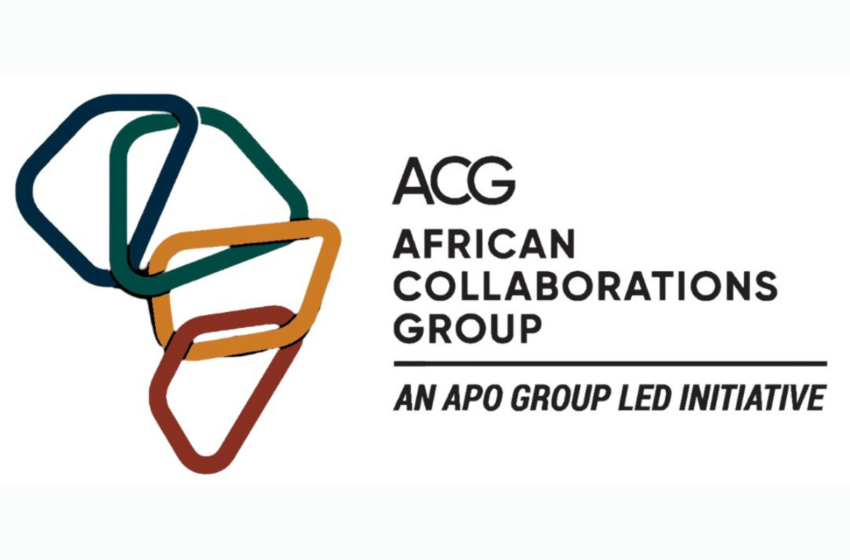 Chief Executive Officer – Infrastructure Origination and Collaboration Platform | Africa